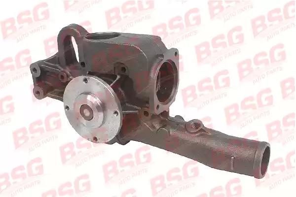 Помпа системи охолодження BSG60500008 - zapix