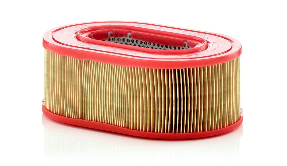 Повітряний фільтр MANN-FILTER C25124 - zapix