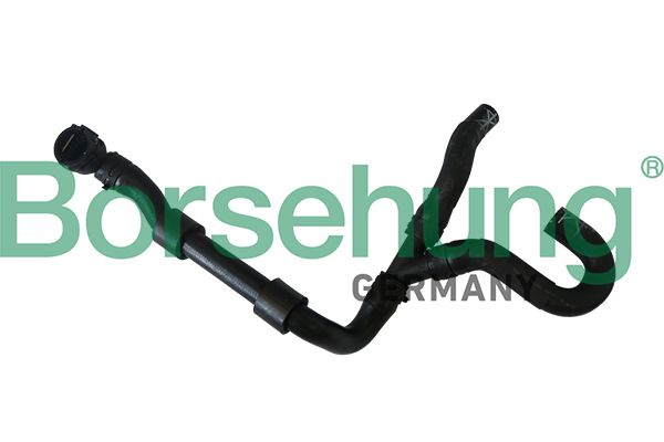 Патрубок системи охолодження BORSEHUNG B11987 - zapix