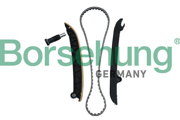Комплект ланцюгів привода BORSEHUNG B18296 - zapix