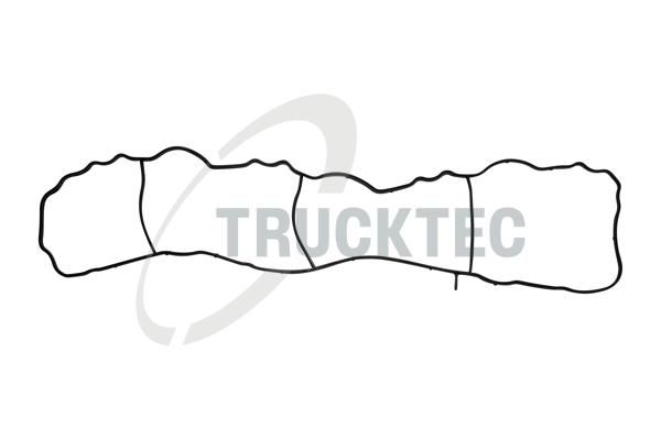 Прокладка впускного колектора TRUCKTEC AUTOMOTIVE 0216013 - zapix