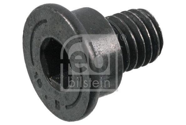 Болт кріплення гальмівного диска FEBI BILSTEIN 180528 - zapix
