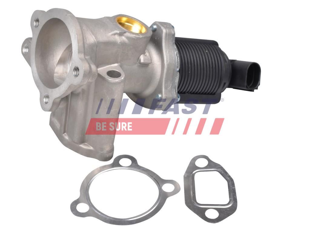 Клапан EGR FAST FT60228 - zapix