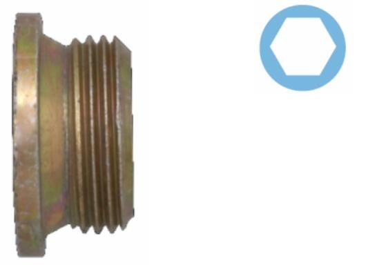 Пробка зливна оливного піддона CORTECO 220133S - zapix