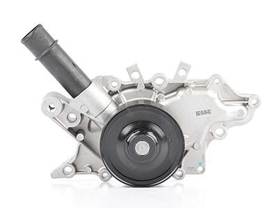 Помпа системи охолодження BSG60500002 - zapix