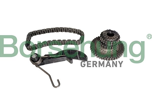 Приводний ланцюг оливного насоса BORSEHUNG B10218 - zapix