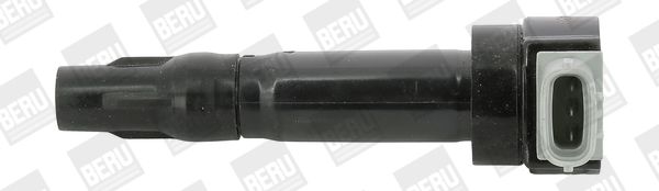 Котушка запалювання BORGWARNER (BERU) ZS547 - zapix