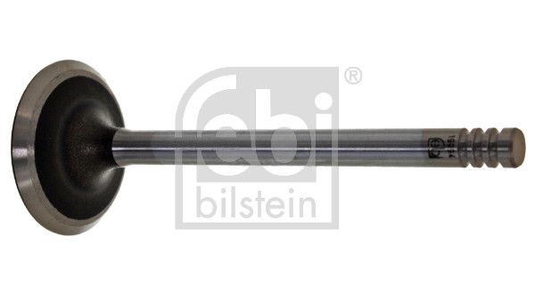 Впускний клапан FEBI BILSTEIN 19994 - zapix