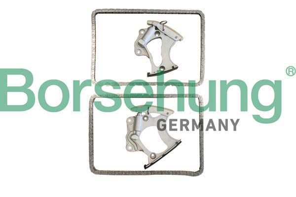Комплект ланцюгів привода BORSEHUNG B10248 - zapix