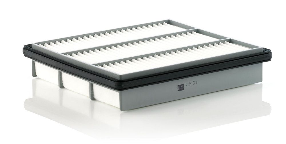 Повітряний фільтр MANN-FILTER C25020 - zapix