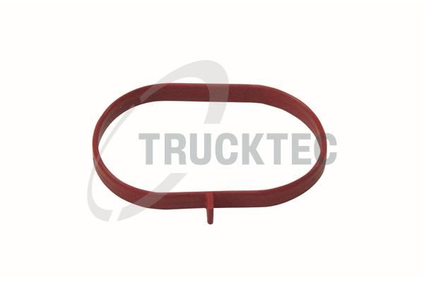 Прокладка впускного колектора TRUCKTEC AUTOMOTIVE 0216067 - zapix