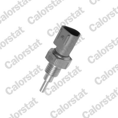 Датчик температури охолоджуючої рідини CALORSTAT BY VERNET WS2938