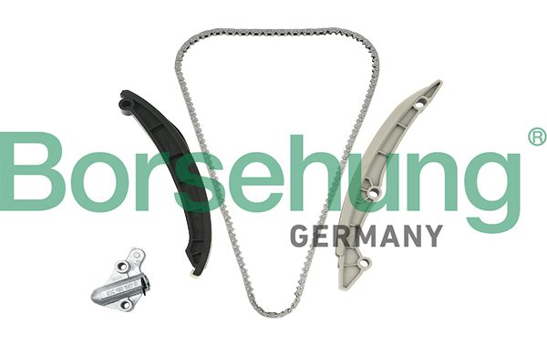 Комплект ланцюгів привода BORSEHUNG B18982 - zapix