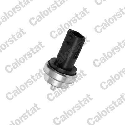 Датчик температури охолоджуючої рідини CALORSTAT BY VERNET WS3019 - zapix