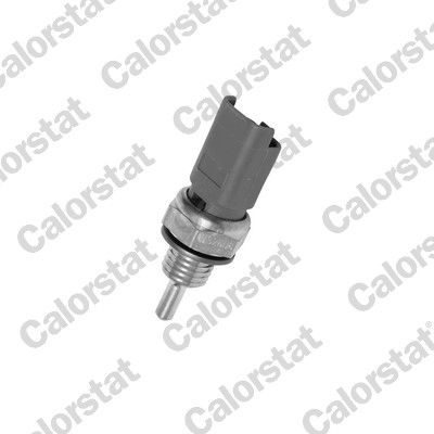 Датчик температури охолоджуючої рідини CALORSTAT BY VERNET WS2606 - zapix