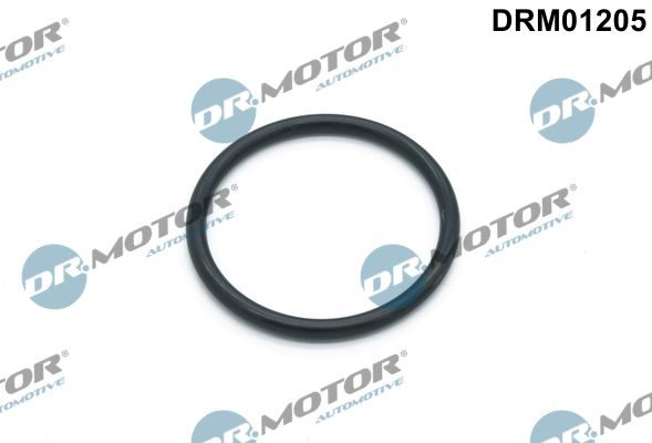 Прокладка помпи DR.MOTOR AUTOMOTIVE DRM01205 - zapix
