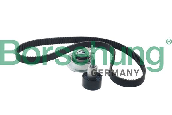 Комплект ременя ГРМ BORSEHUNG B10210 - zapix