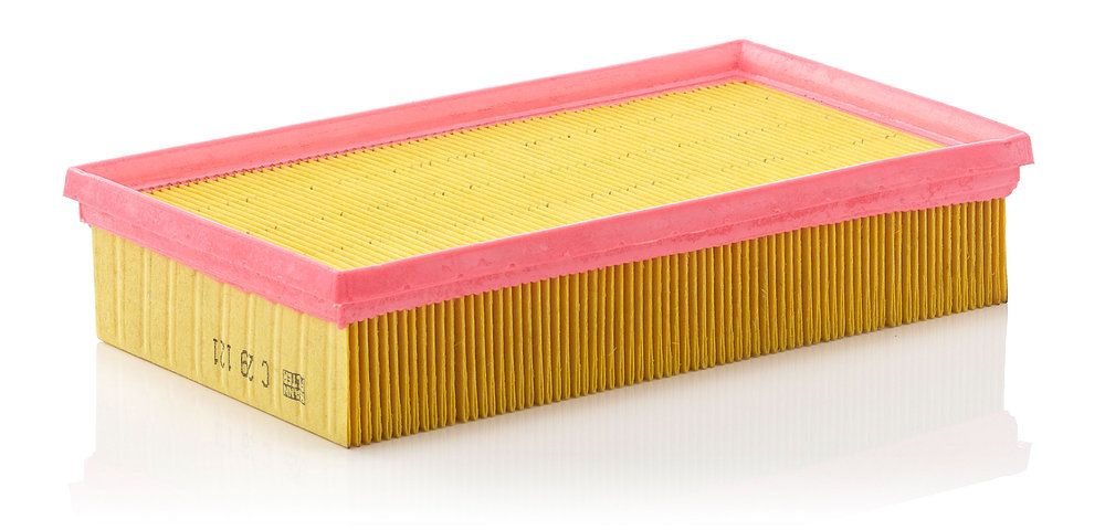 Повітряний фільтр MANN-FILTER C29121 - zapix