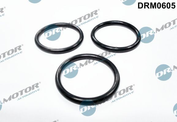 Прокладка помпи DR.MOTOR AUTOMOTIVE DRM0605 - zapix