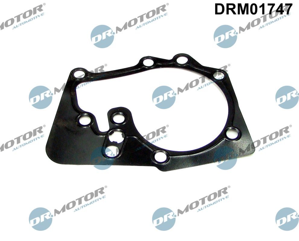 Прокладка помпи DR.MOTOR AUTOMOTIVE DRM01747 - zapix