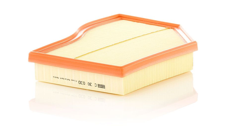 Повітряний фільтр MANN-FILTER C30030 - zapix