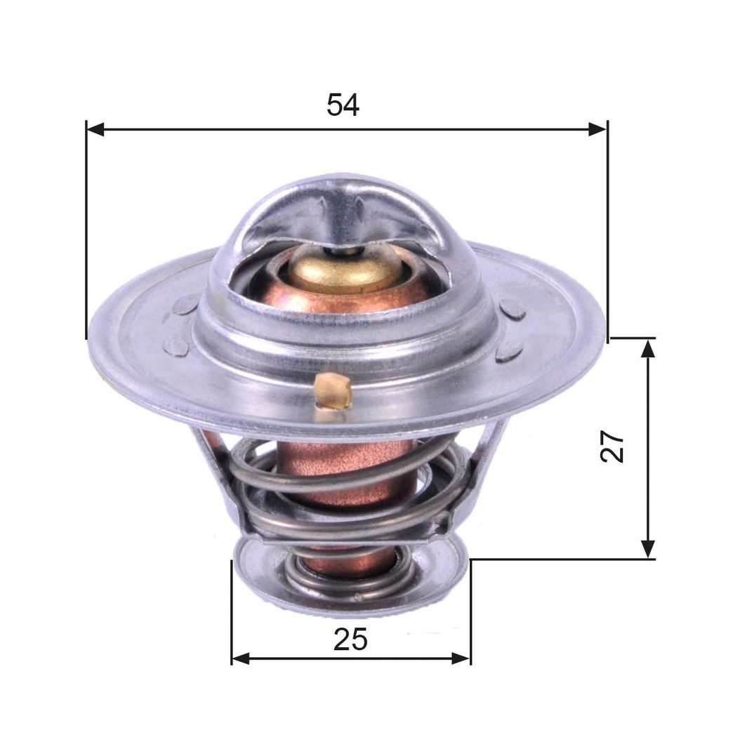 Термостат GATES TH22779G1 - zapix
