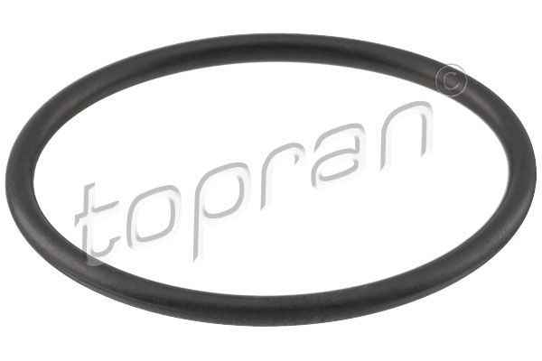 Прокладка термостата TOPRAN 100618 - zapix