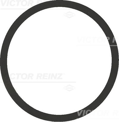 Прокладка впускного колектора VICTOR REINZ 407754200 - zapix