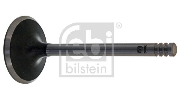 Впускний клапан FEBI BILSTEIN 36502 - zapix