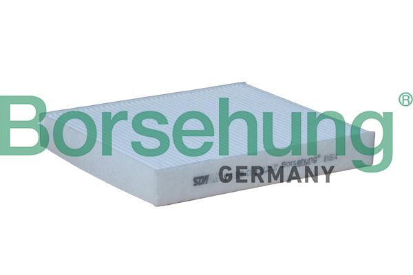 Фільтр салону BORSEHUNG B10514 - zapix