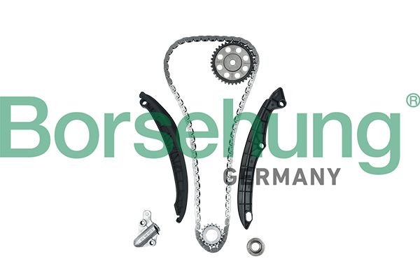 Комплект ланцюгів привода BORSEHUNG B18824 - zapix