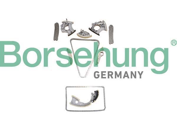 Комплект ланцюгів привода BORSEHUNG B10242 - zapix