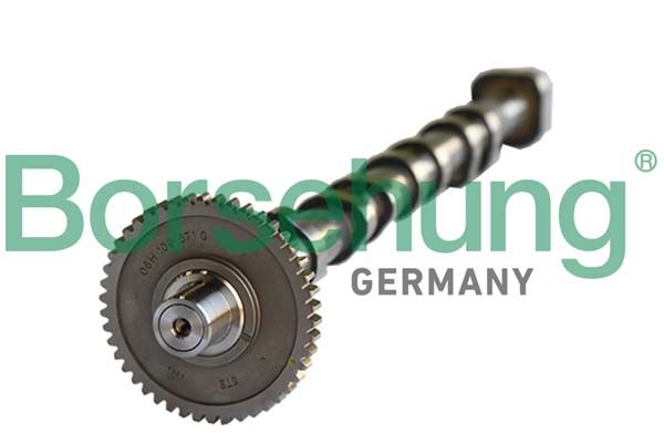 Розподільний вал BORSEHUNG B18980 - zapix