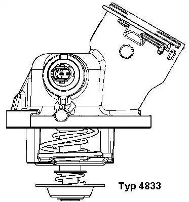 Термостат BORGWARNER (WAHLER) 4833100D - zapix