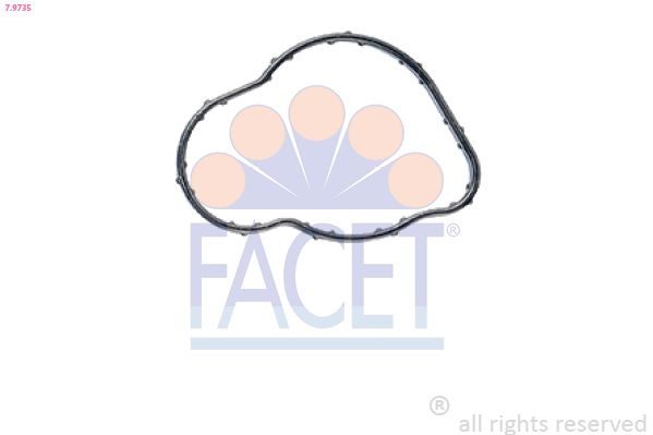 Прокладка термостата FACET 79735 - zapix