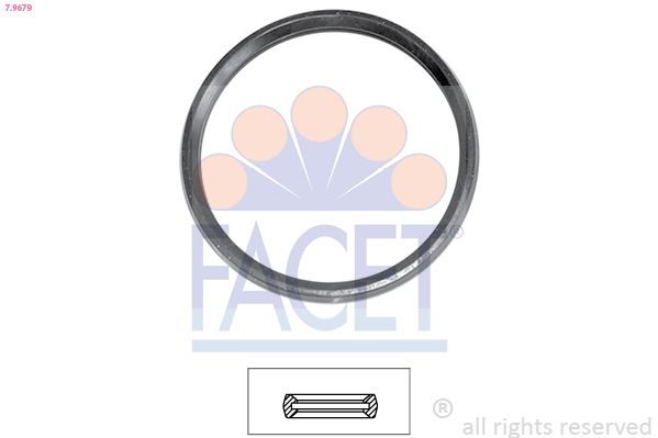 Прокладка термостата FACET 79679 - zapix