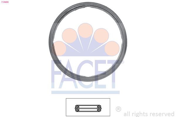 Прокладка термостата FACET 79600 - zapix
