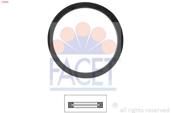 Прокладка термостата FACET 79560 - zapix
