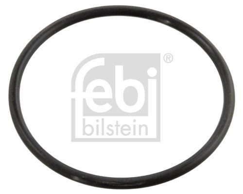 Прокладка термостата FEBI BILSTEIN 10258