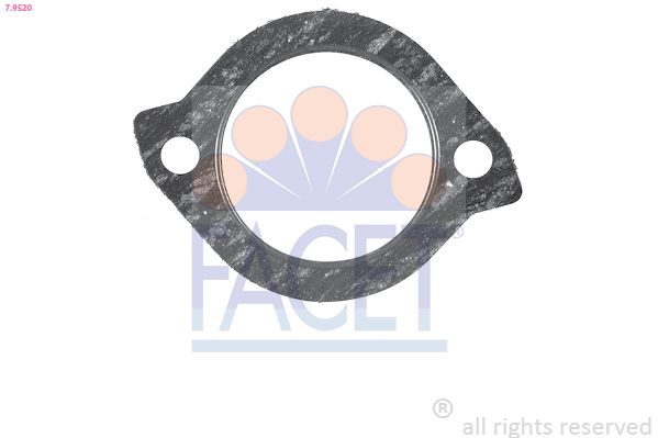 Прокладка термостата FACET 79520 - zapix