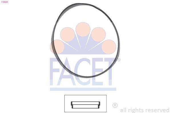 Прокладка термостата FACET 79631 - zapix