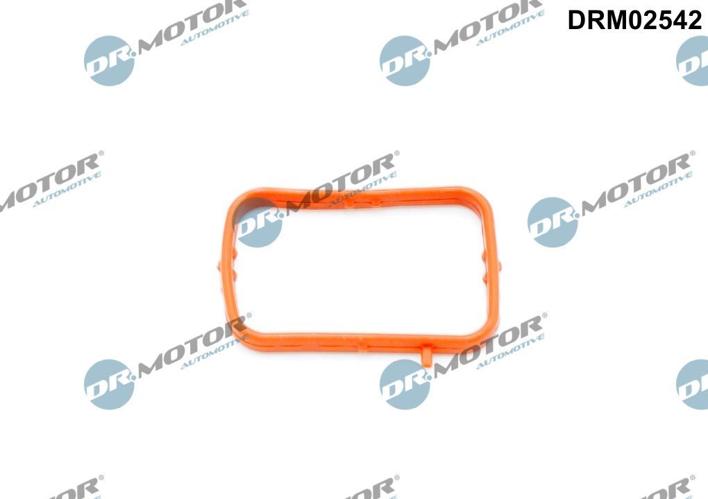 Прокладка термостата DR.MOTOR AUTOMOTIVE DRM02542 - zapix