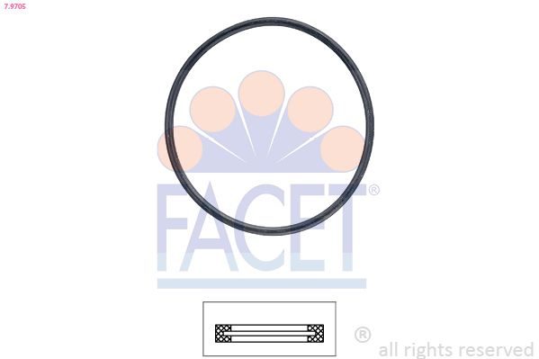Прокладка термостата FACET 79705 - zapix