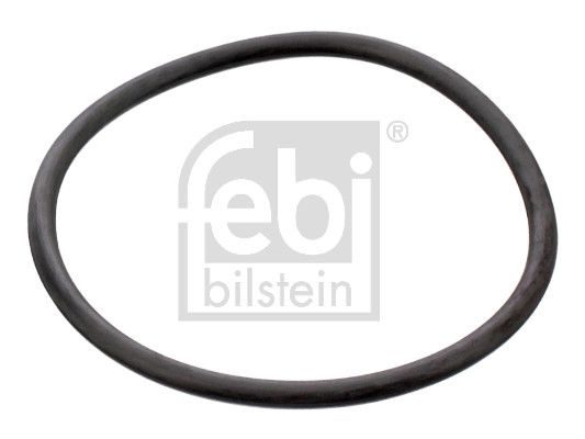 Прокладка термостата FEBI BILSTEIN 17964 - zapix