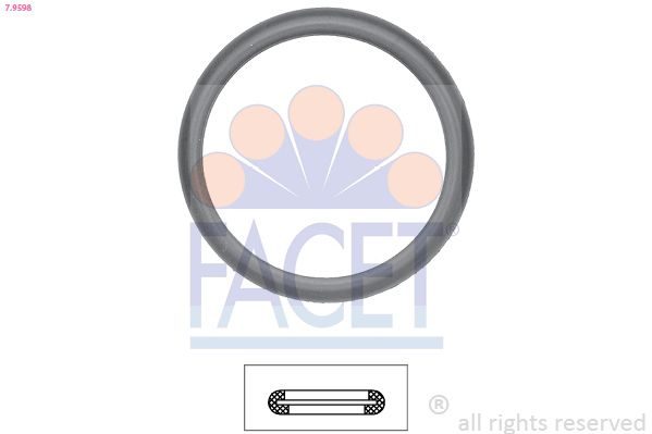 Прокладка термостата FACET 79598 - zapix