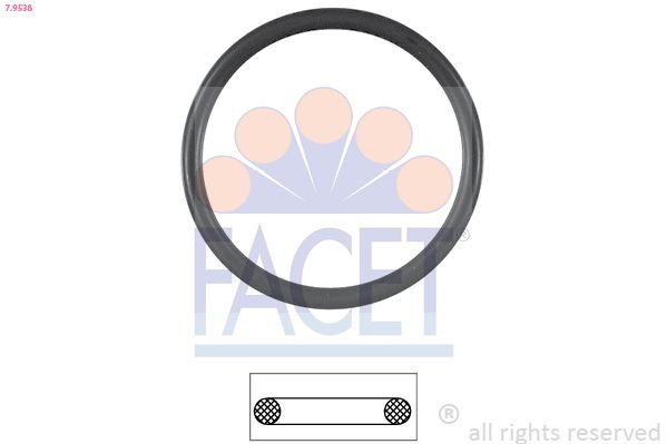 Прокладка термостата FACET 79538 - zapix