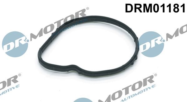 Прокладка термостата DR.MOTOR AUTOMOTIVE DRM01181 - zapix