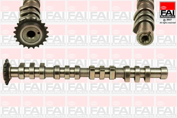 Розподільний вал FAI AUTOPARTS C377 - zapix