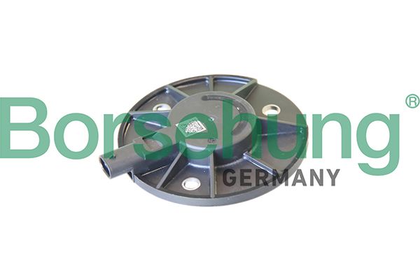 Клапан регулятор фаз газорозподілу BORSEHUNG B19124 - zapix