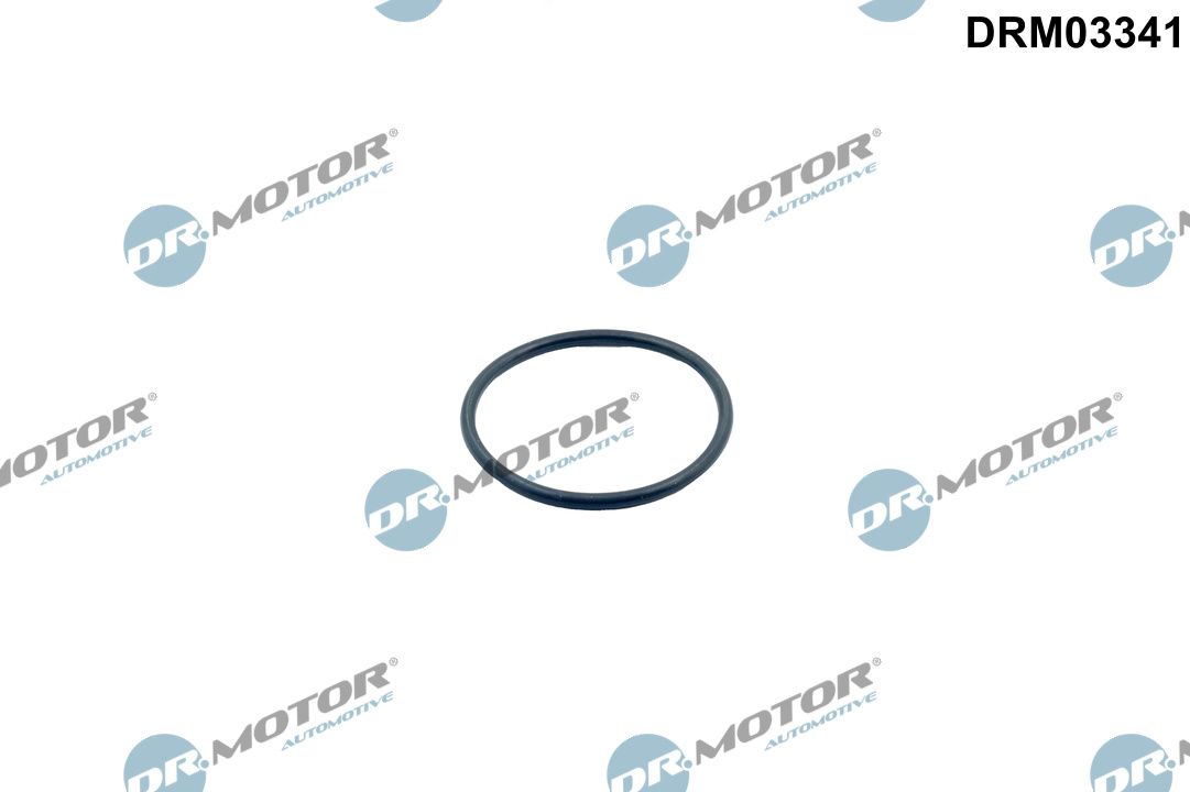 Прокладка термостата DR.MOTOR AUTOMOTIVE DRM03341 - zapix